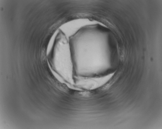 X0000078250478200612011634
