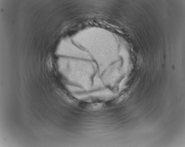 X0000078250479200612011634