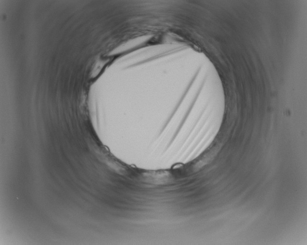 X0000078250480200612011634