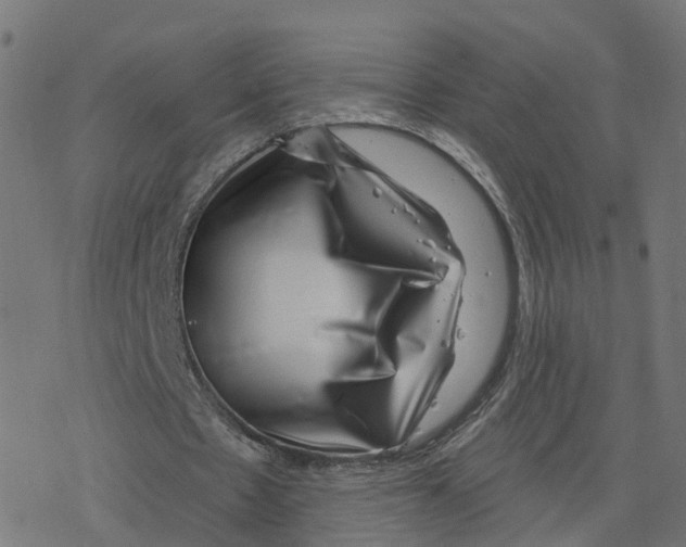 X0000078250481200612011633