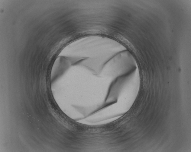 X0000078250482200612011633