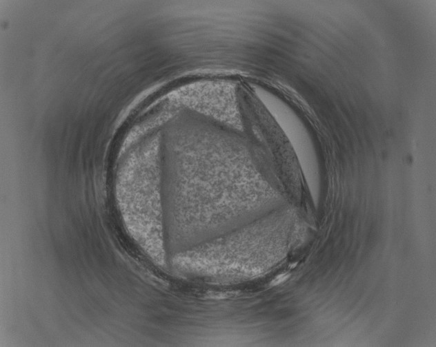 X0000078250484200612011633