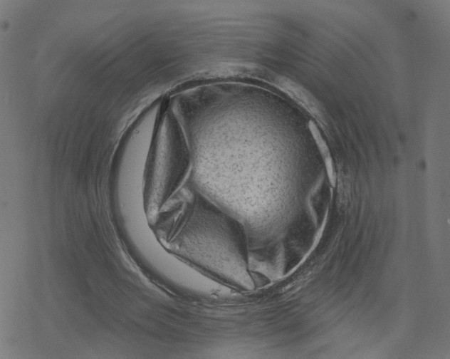 X0000078250485200612011633