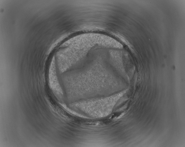 X0000078250488200612011633
