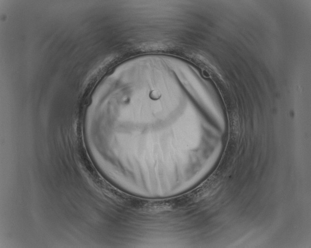 X0000078250491200612011633
