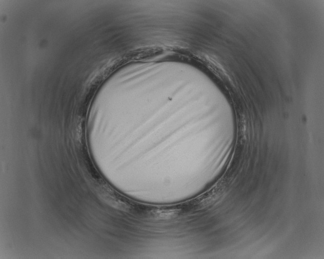X0000078250495200612011633