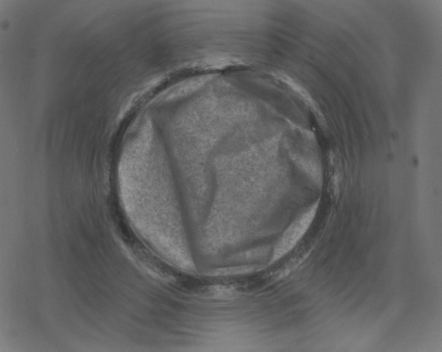 X0000078250496200612011633