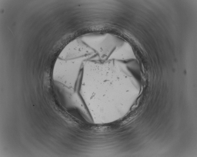 X0000078250497200612011633
