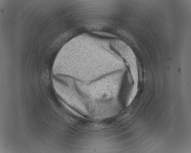 X0000078250498200612011633