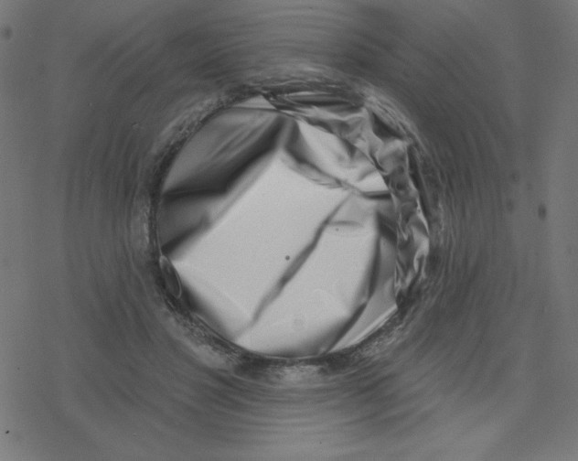 X0000078250501200612011633