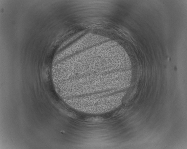 X0000078250503200612011633