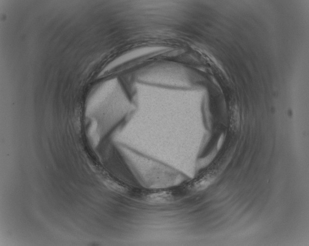 X0000078250505200612011633