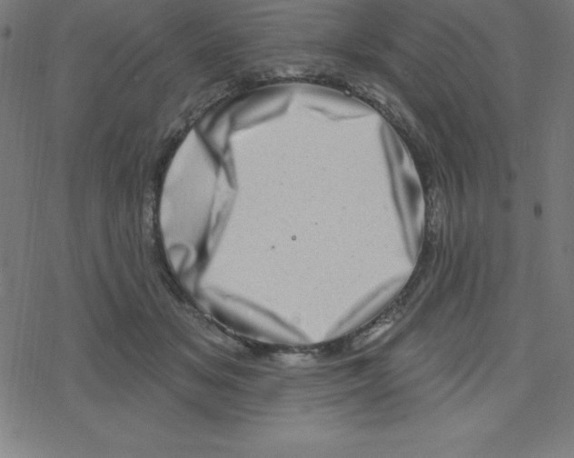 X0000078250509200612011633