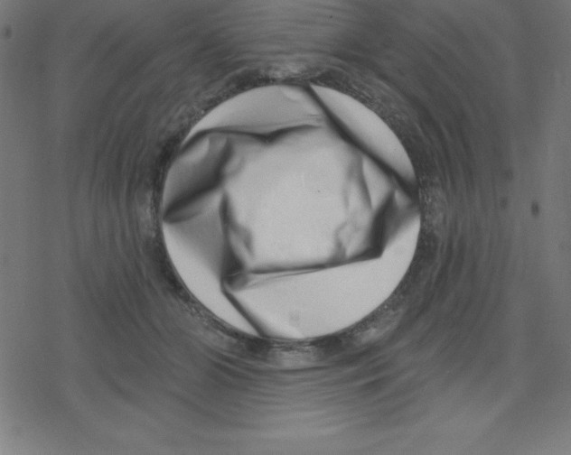 X0000078250510200612011633