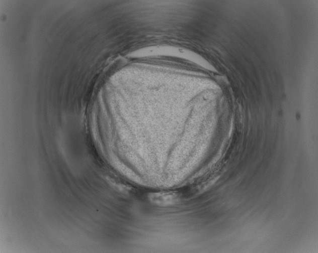 X0000078250511200612011633
