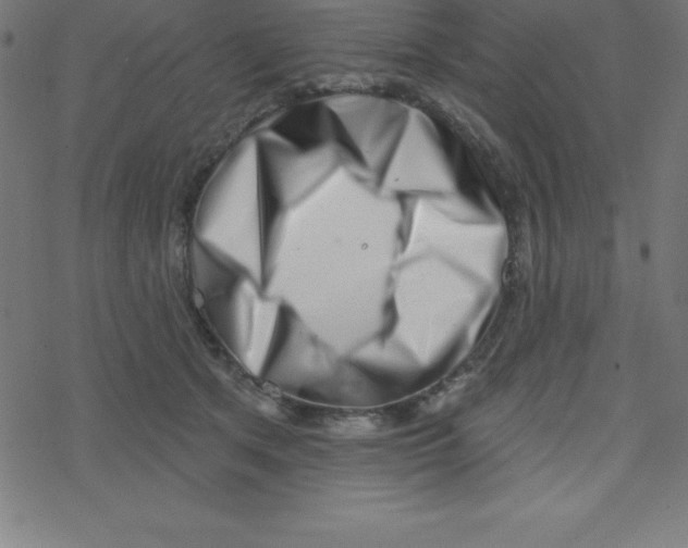 X0000078250513200612011633
