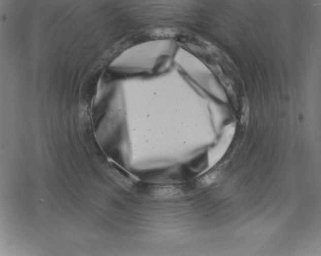 X0000078250521200612011633