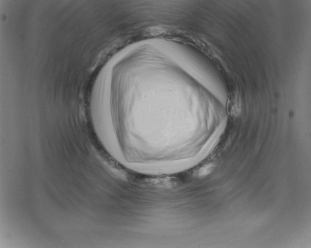 X0000078250524200612011633