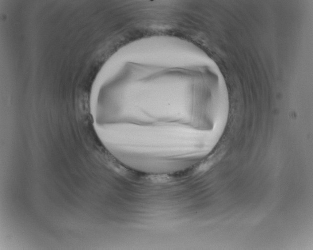 X0000078250528200612011632