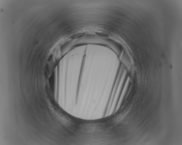 X0000078250530200612011632
