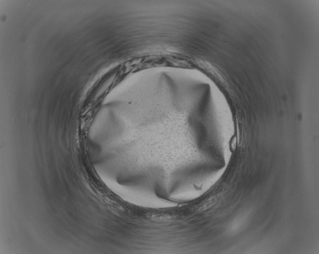 X0000078250531200612011632