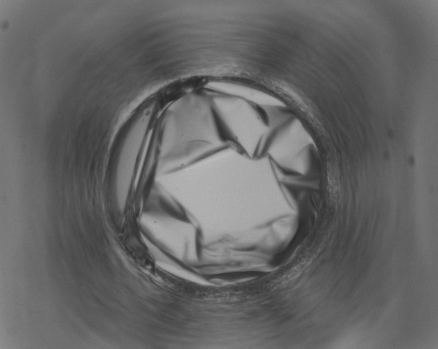 X0000078250532200612011632