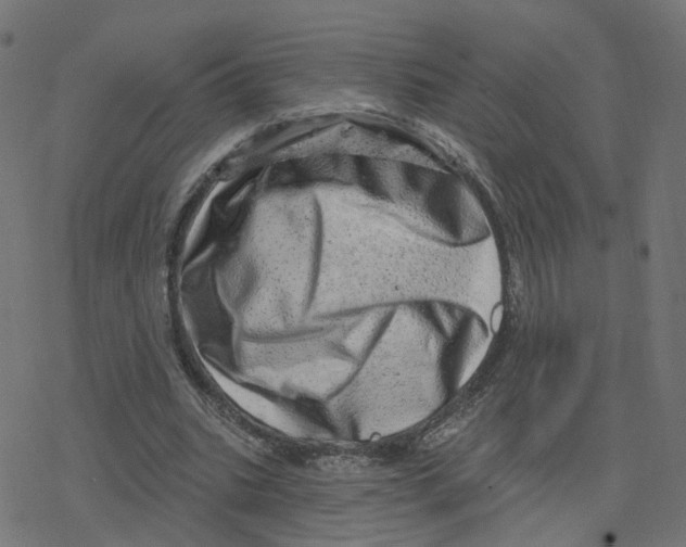 X0000078250535200612011632