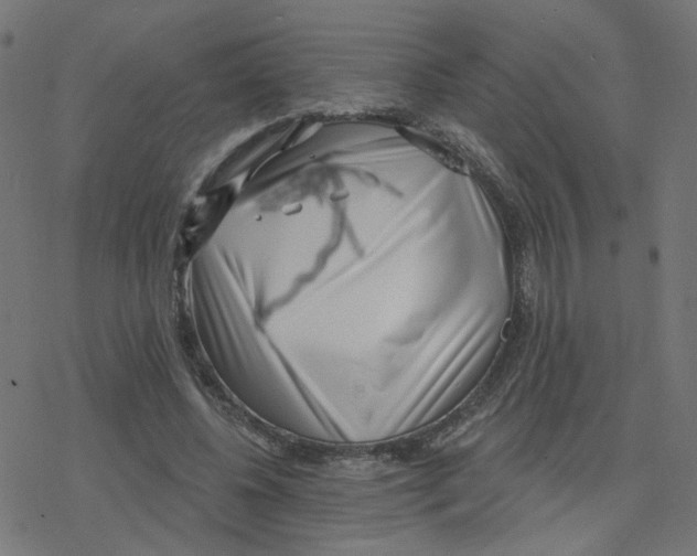 X0000078250540200612011632