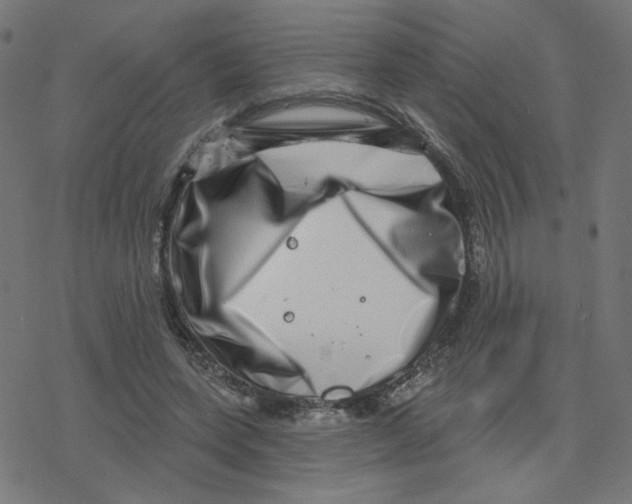 X0000078250543200612011632
