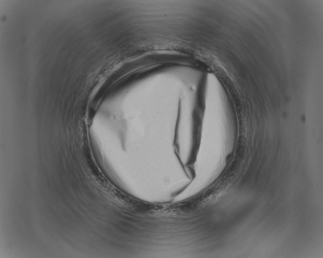 X0000078250545200612011632