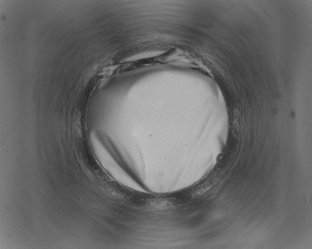 X0000078250547200612011632