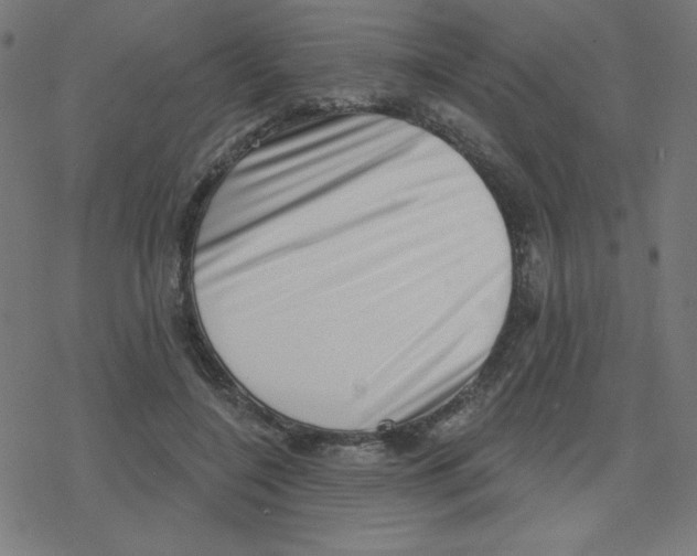 X0000078250548200612011632