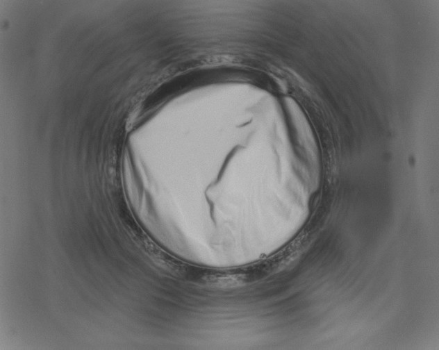 X0000078250553200612011632