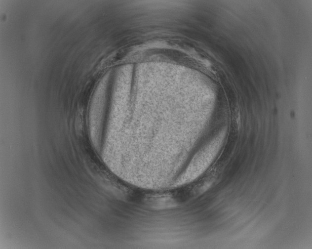 X0000078250554200612011632
