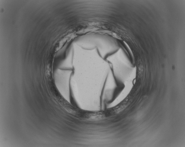 X0000078250555200612011632