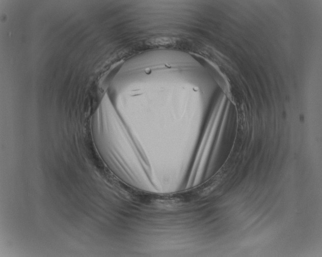 X0000078250556200612011632