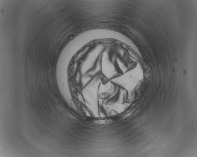 X0000078250558200612011632