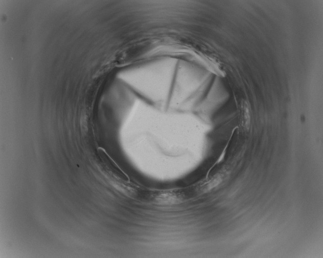 X0000078250562200612011632