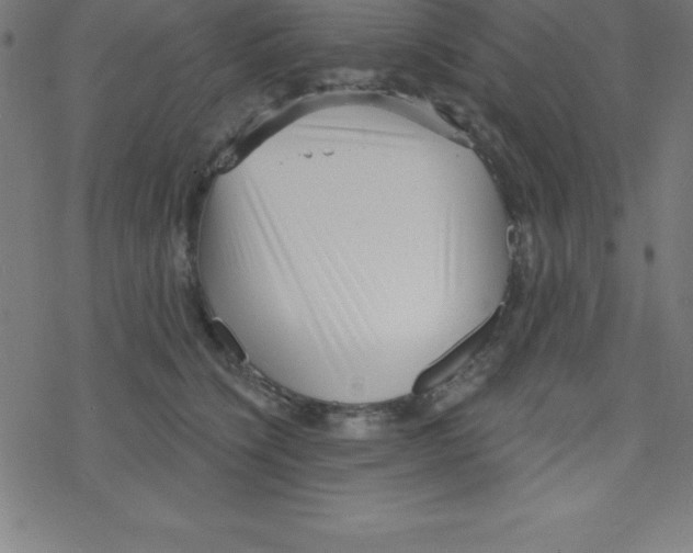 X0000078250564200612011632