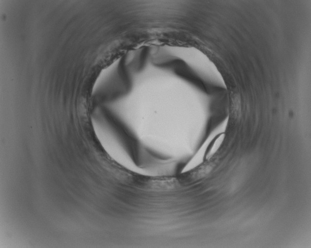 X0000078250571200612011632