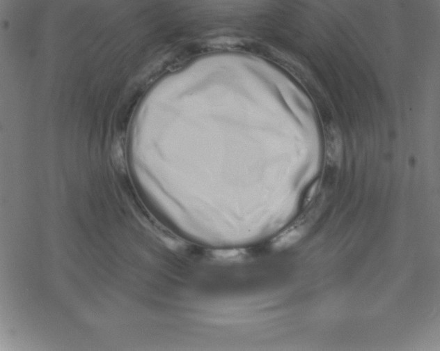 X0000078250573200612011632