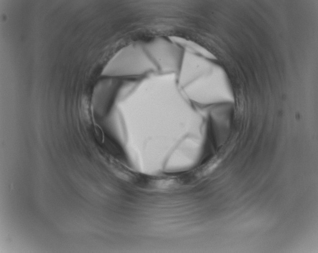 X0000078250575200612011632