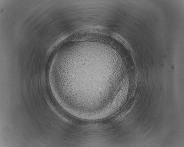 X0000078250581200612011632