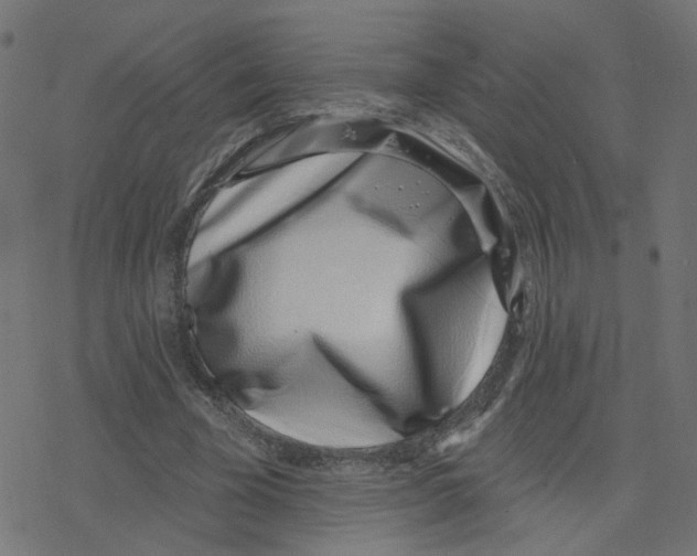 X0000078250585200612011632