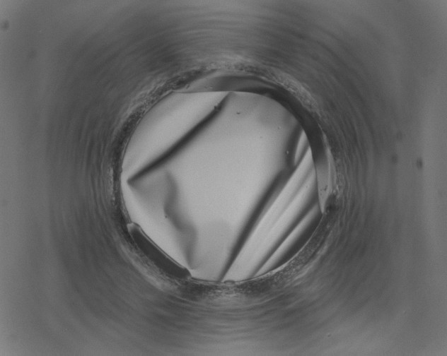 X0000078250589200612011631