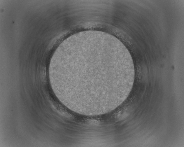 X0000078250592200612011631