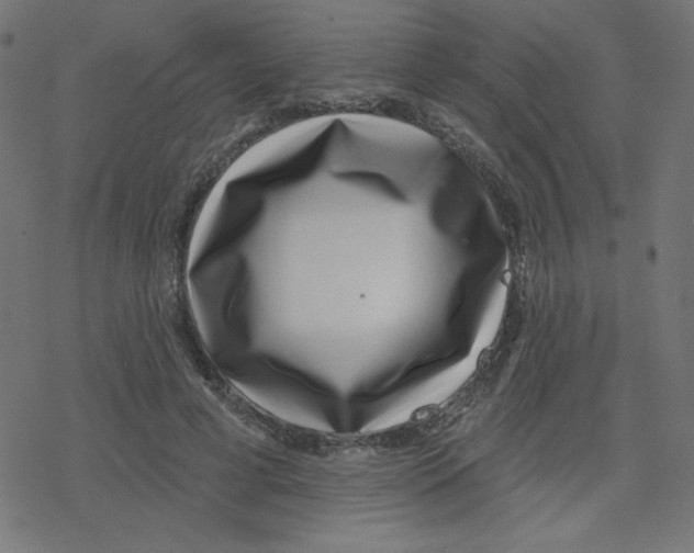 X0000078250593200612011631