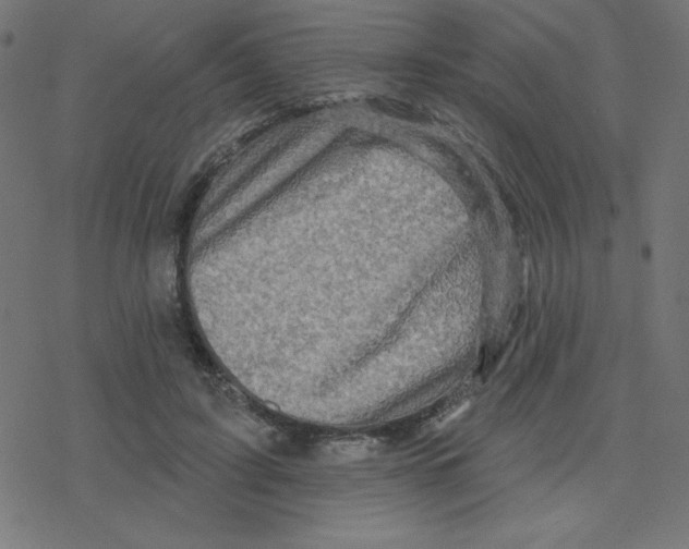 X0000078250595200612011631