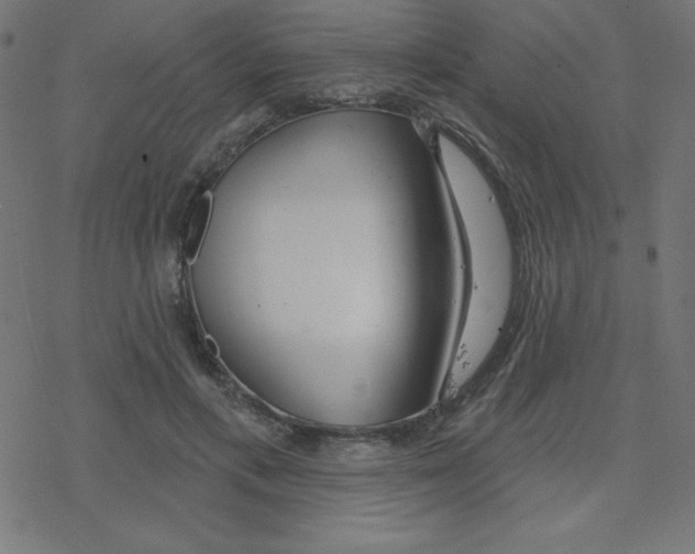 X0000078250597200612011631