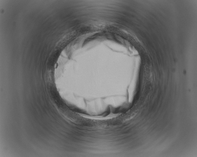 X0000078250598200612011631